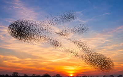 The Requirements Document Isn’t Dead. It Just Moved – But To Where?